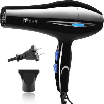 220V Salon Hair Dryer