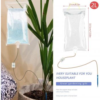 Household Watering Spike