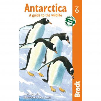 Antarctica: A Guide to the Wildlife