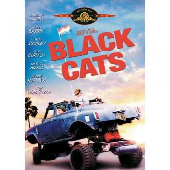 Schwarze Katzen