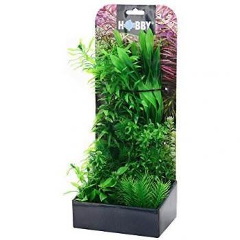 Kunstpflanzen-Kit Plantasy Set 4 von Hobby