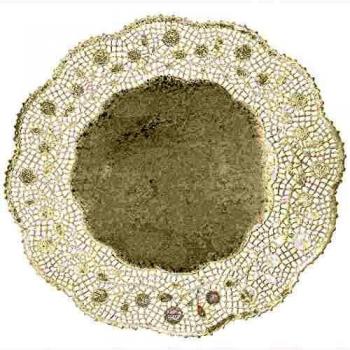 Ensembles de napperons ronds blancs IBILI, 19 cm (x10)