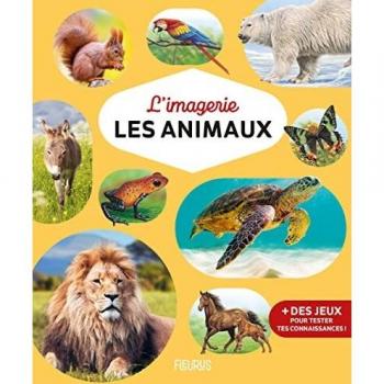 L'imagerie