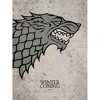 Lienzo Juego de Tronos Stark 30 x 40 cm