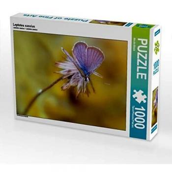 Calvendo Fotopuzzle „Cassius Leptotes“ – 1000 Teile, 64 × 48 cm