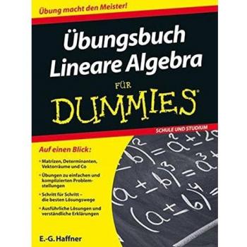 Übungsbuch Lineare Algebra für Dummies (Fur Dummies)
