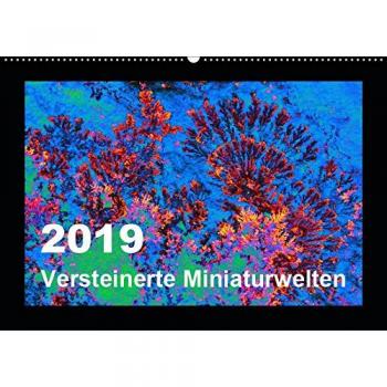 Versteinerte Miniaturwelten
