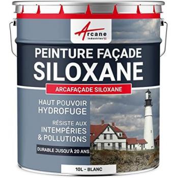 Peinture Rénovation Facade Siloxane 10L Blanc