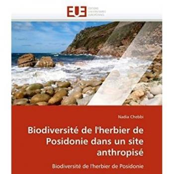 Biodiversité de l'herbier de Posidonie dans un site anthropisé: Biodiversité de l'herbier de Posidonie
