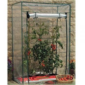 Serra per Pomodori con Copertura in PVC Removibile 100x50x100h cm