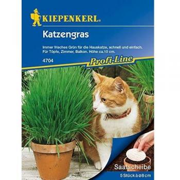 Hauskatze Grünsache – 5 frische Saatscheiben für Topf, Zimmer und Balkon