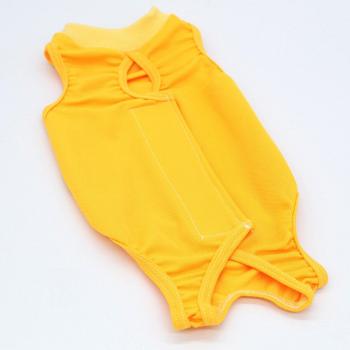 Anti-Lick Cat Surgical Vest