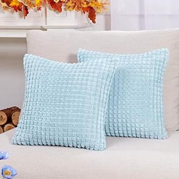 Deconovo 2‑Piece Invisible Zipper Pillow Envelopes – 16×16 in., Baby Blue