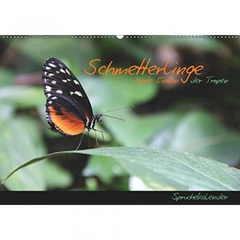 Schmetterlinge