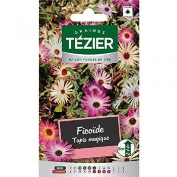 Tezier