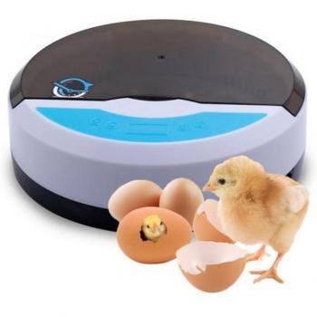 9-Egg Intelligent Hatching Machine