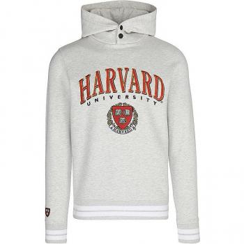 Sudadera Grisa con Capucha Replay Cotton