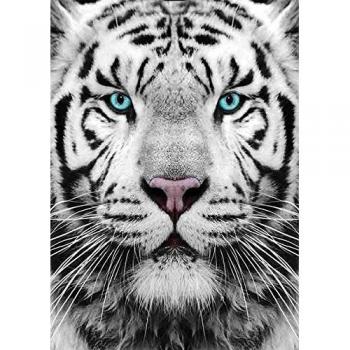 Puzzle 1000 Pièces Tigre de Sibérie