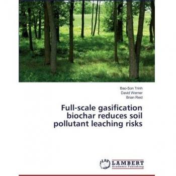 Full-scale gasification biochar reduces soil pollutant leaching risks