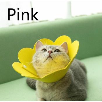 Pet Protection Cone