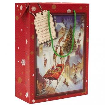 SHOPPER SCATOLA NATALE KARTOS 22x30x10