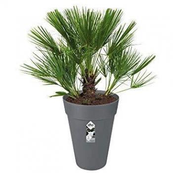 Elho 2054665 Pot de Fleur Loft Urban Ronde Élevé Anthracite 42 x 42 x 56 cm