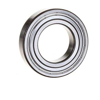 SKF 6006-2ZN Dual-Snap-Ring Deep Groove Ball Bearing, 30 mm Groove