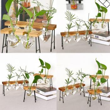 Transparent Hydroponic Terrarium for Tabletop Plants