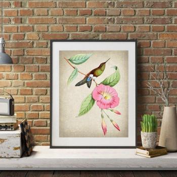 Arte Botánico del Colibrí: Decoración Retro