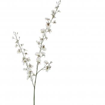 Composición Flora Urbana – 78 cm