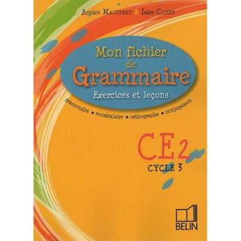 mon fichier de grammaire ; exercices et leçons ; CE2