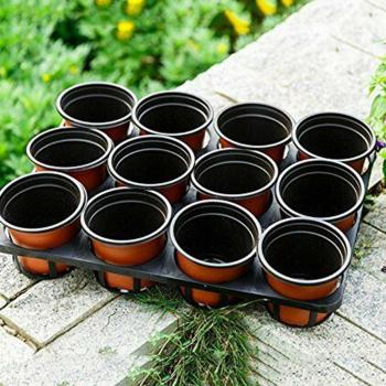 50pcs Nursery Transplant Flower Seedling Trays