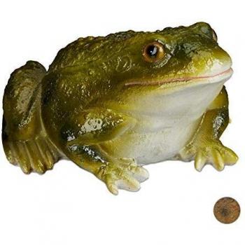 Rana Ornamentale da Esterno