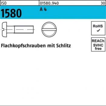 Flachkopf-Edelstahl-Schraube M3 × 20 mm – ISO 1580, keine Marke, A4-Qualität
