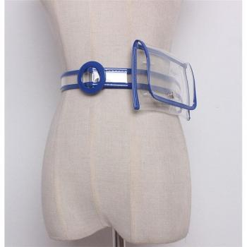 Mihaivina Transparent Belt Bag
