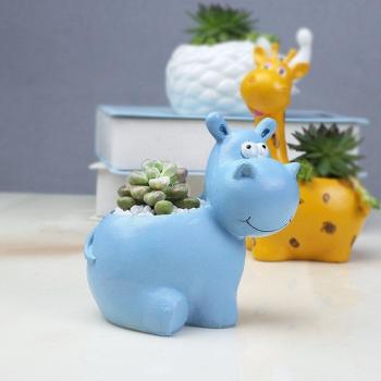 Resin Succulent Planters