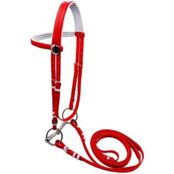 Padded Hollow Sidepull Bridle for Horses