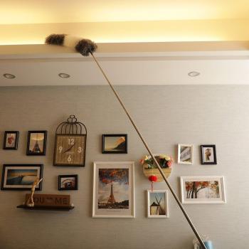 Lint-Free Electrostatic Feather Duster