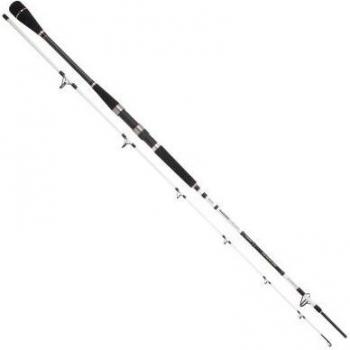 Spro Salty Beast Nano Jig Spin Rute 2,70m 150g