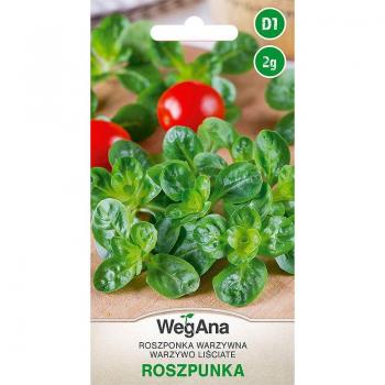 Graines de Maïs & Légumes en Salade – WegAna