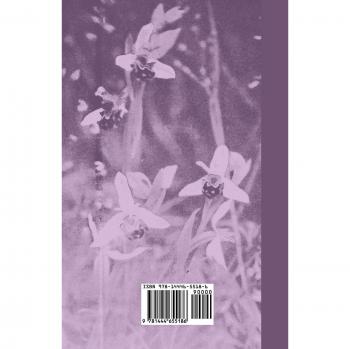 How to Find and Name Wild Flowers
