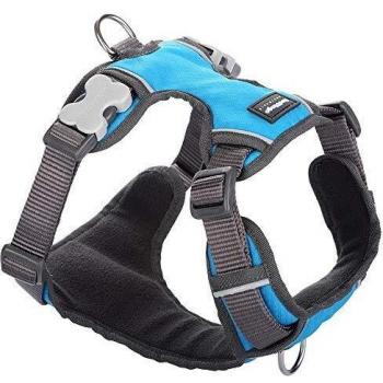 Pettorina Red Dingo Turchese M