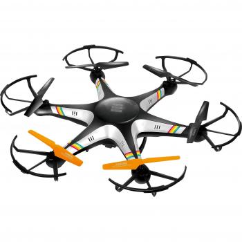 Drone Polaroid Black Bird