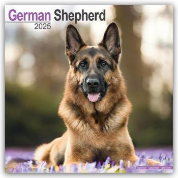Brown Trout-Auslieferer Flechsig German Shepherd