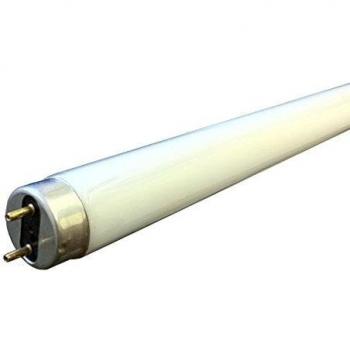 18W T8 Fluorescent Light, White, 3500K, 604mm, Inc Pins