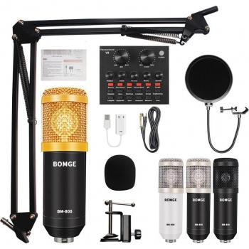 BM-800 Karaoke Microphone for PC