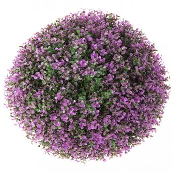 Pianta di Lavanda Plasmata