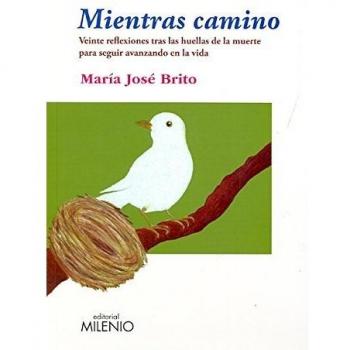Mientras camino (Tapa blanda).