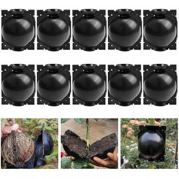 Kit 10 Enracineurs de Plantes