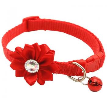 Dorakitten Brillant Bouquet – Collier de compagnie ornée de fleurs